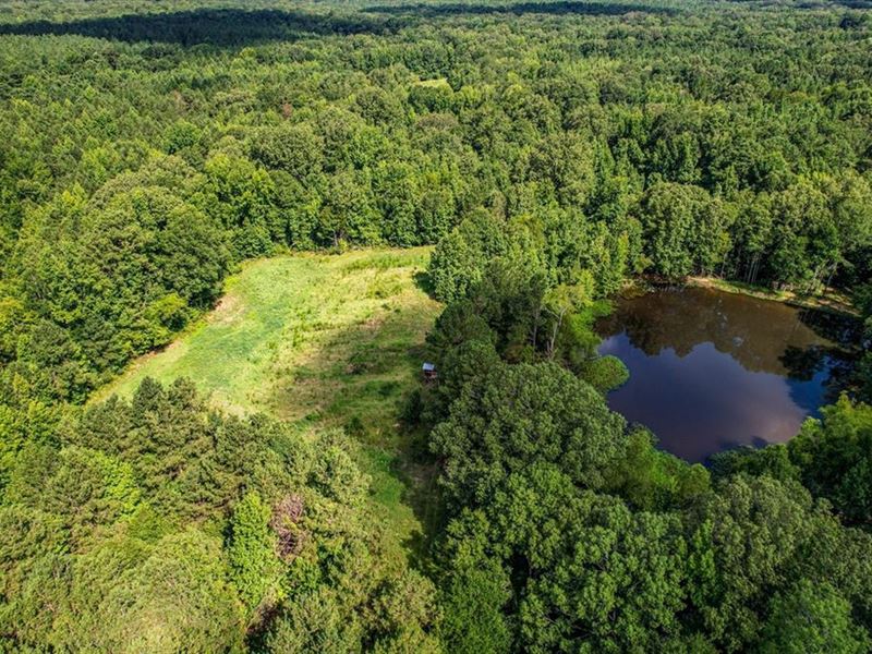 105 Acres Hunting Land for Sale : Utica : Hinds County : Mississippi