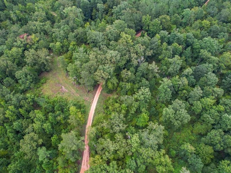 95 Acres Hunting Land for Sale : Utica : Hinds County : Mississippi