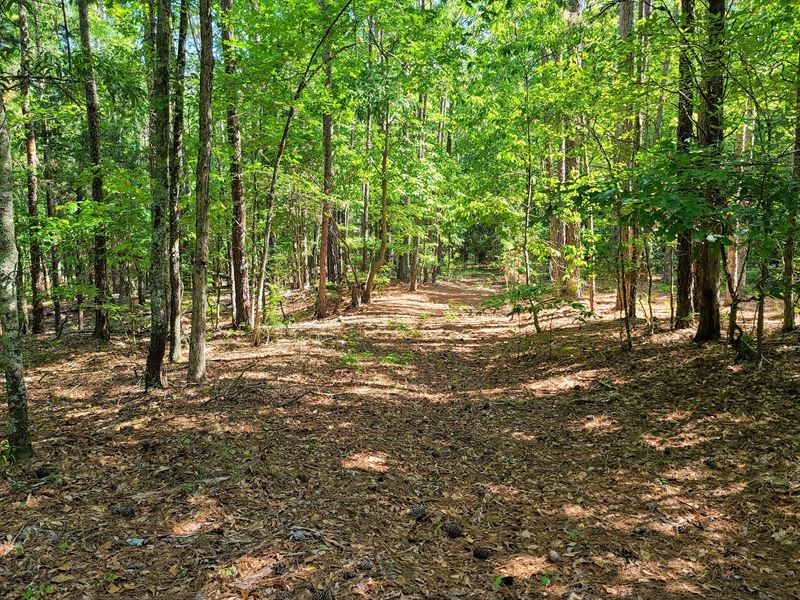 Ridge Road Recreational : Hodges : Greenwood County : South Carolina