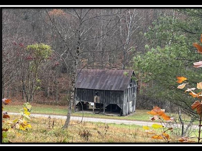 Tract 11, The Woods at Buck Run, Farm for Sale in Ohio, 329573 FARMFLIP