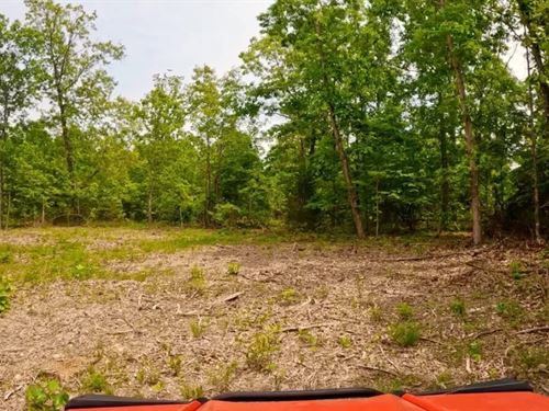 Owner Financed Land In MO : West Plains : Howell County : Missouri