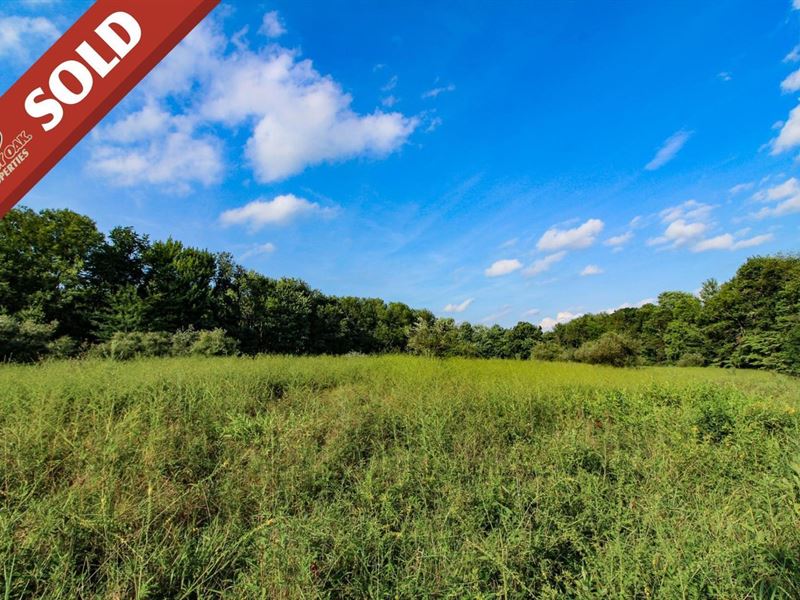 TR 338, 29 Acres, Coshocton Count : Warsaw : Coshocton County : Ohio