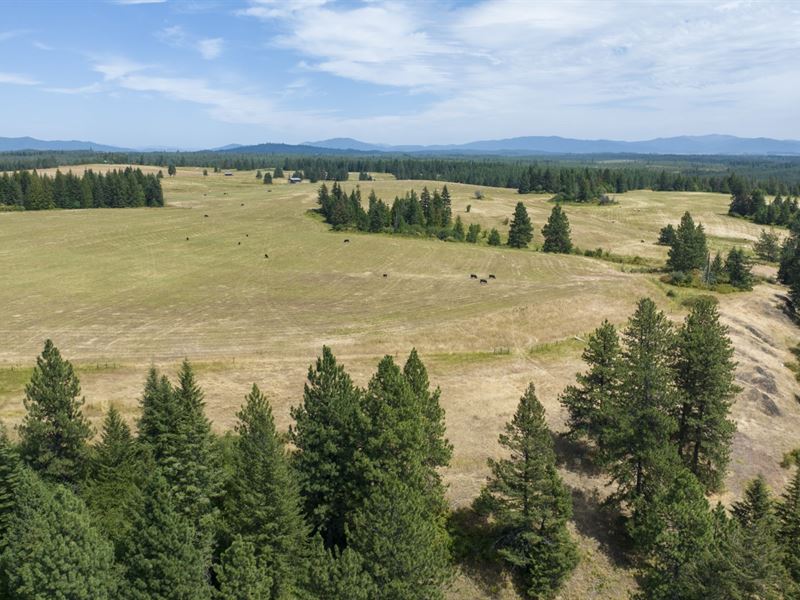 Rocking J Ranch, Parcel 14 : Weippe : Clearwater County : Idaho