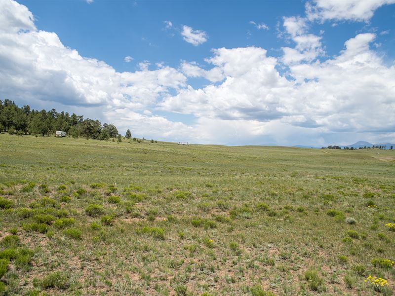 Beautiful Plain with Mountain Views : Hartsel : Park County : Colorado