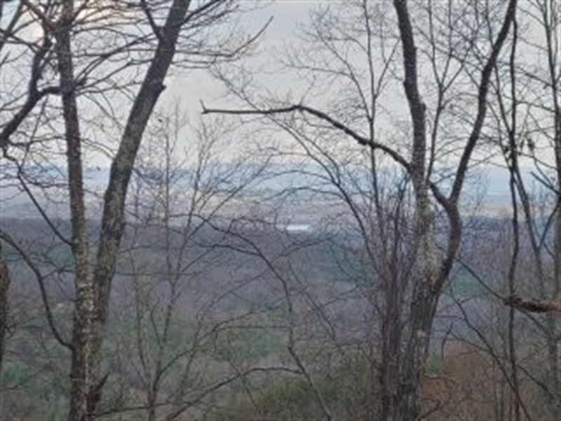 Secluded Land in Pulaski County, VA : Hiwassee : Pulaski County : Virginia