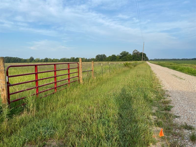 La, Richland 30 Acres Farm for Sale in Rayville, Richland Parish