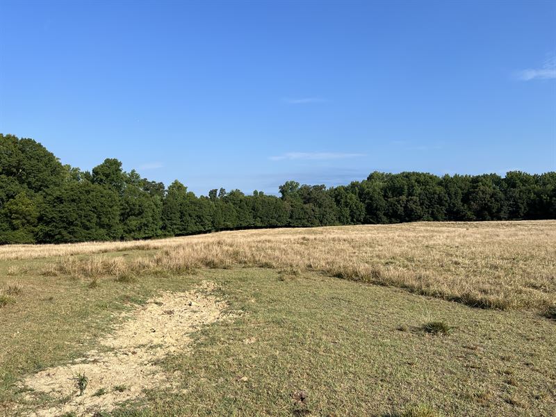 Townville Homestead, Farm for Sale in South Carolina, 330173 FARMFLIP