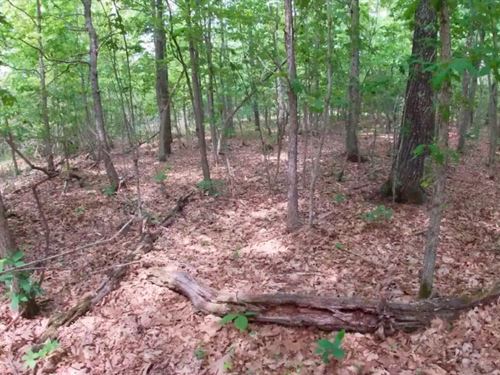 Owner Financed Land In MO : West Plains : Howell County : Missouri