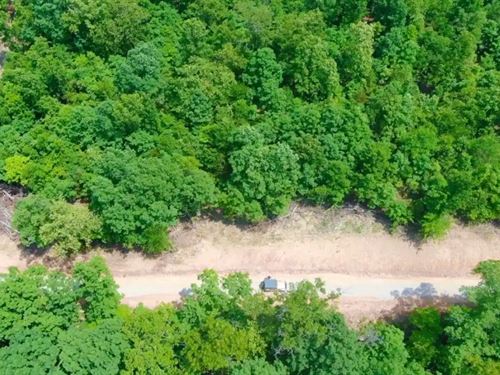 Owner Financed Land In MO : West Plains : Howell County : Missouri