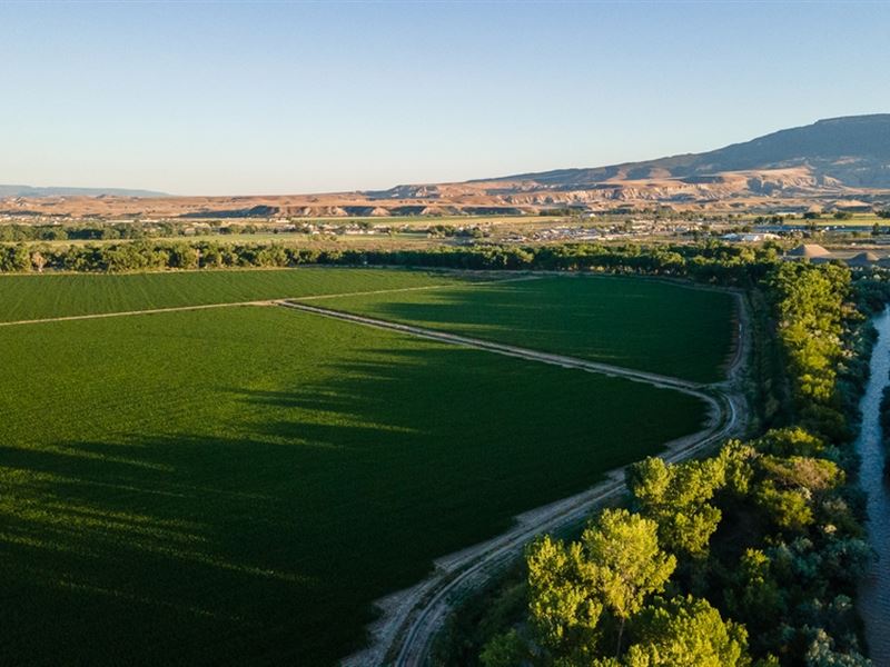 Two Rivers Farm : Delta : Delta County : Colorado