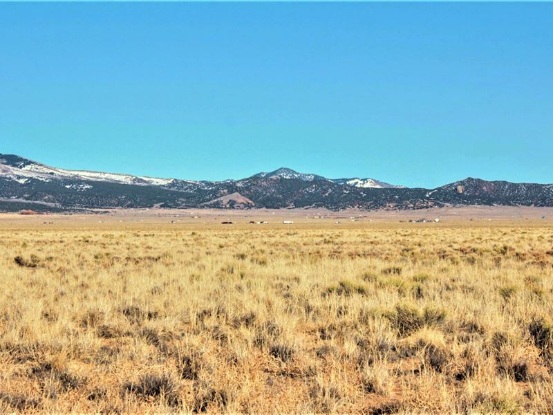 Mountain View Land in Blanca, Farm for Sale by Owner in Colorado