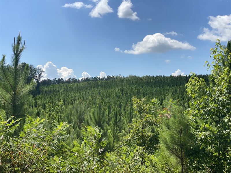 Hunting / Timber Tract, Farm for Sale in 330333 FARMFLIP