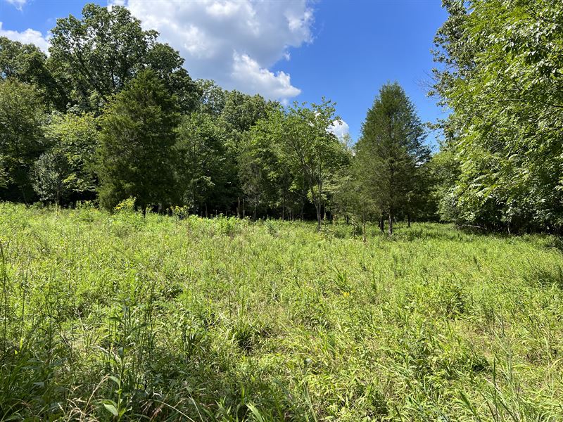 33 Acres Recreational Property, Farm for Sale in Missouri, 330436