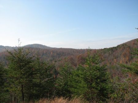 Cumberland Plateau Hunting Property : Sunbright : Morgan County : Tennessee