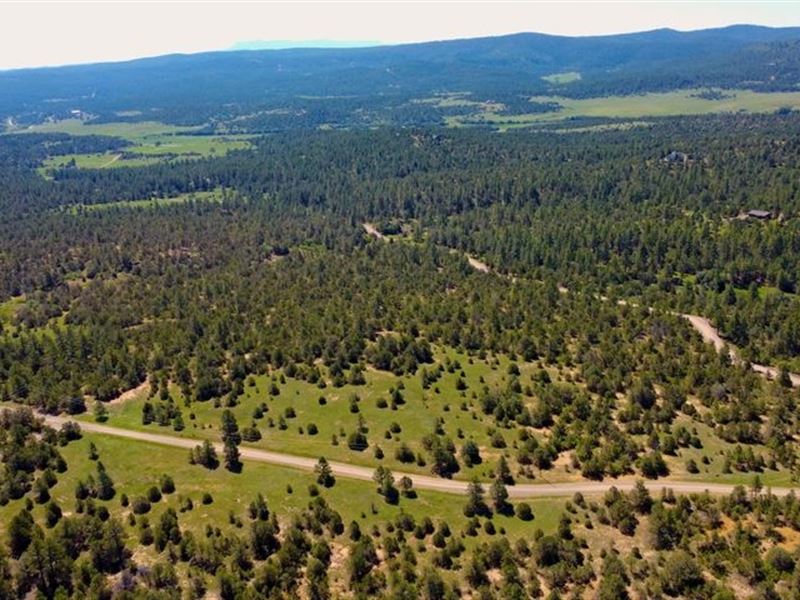 21000 Spirit Mountain Drive Filing, Farm for Sale in Colorado, 330530
