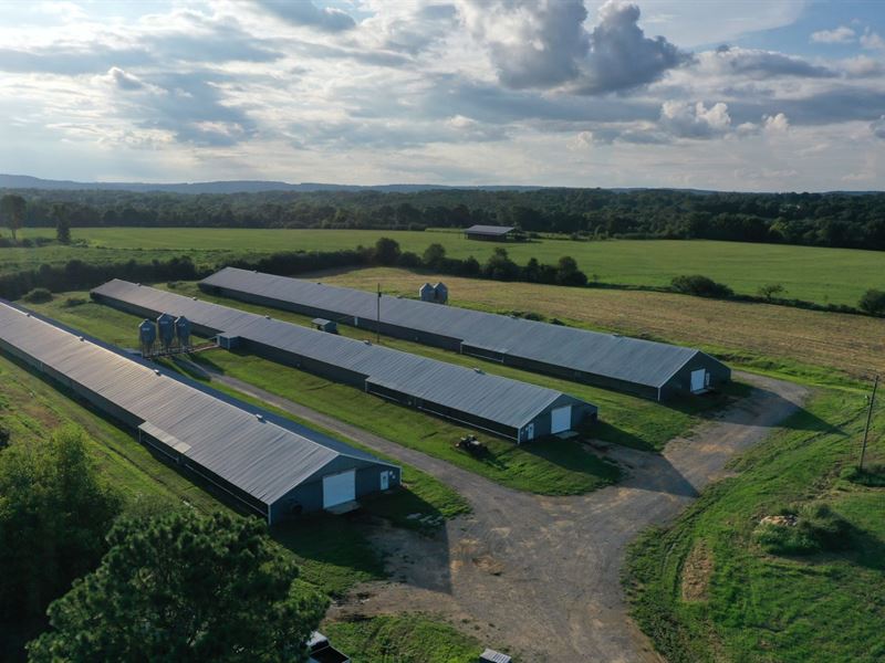 Hutchens Broiler Farm : Boaz : Blount County : Alabama