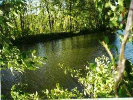 Lot 2 Myllyla Road Mls 1048423 : Baraga (Township) : Houghton County : Michigan