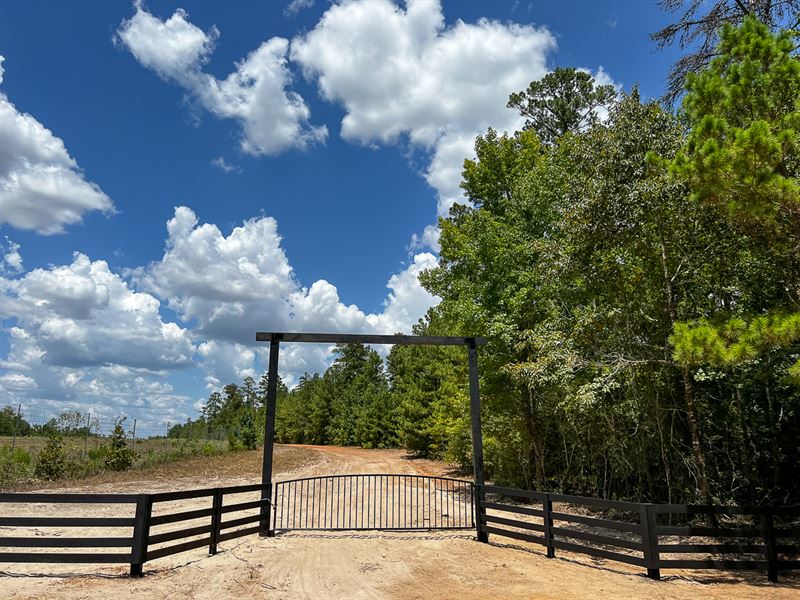 457 Acres, Gum Branch : Huntsville : Walker County : Texas