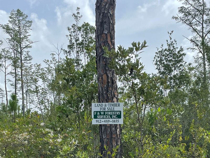 Waycross Woodlands, 10G, Farm for Sale in 330576 FARMFLIP