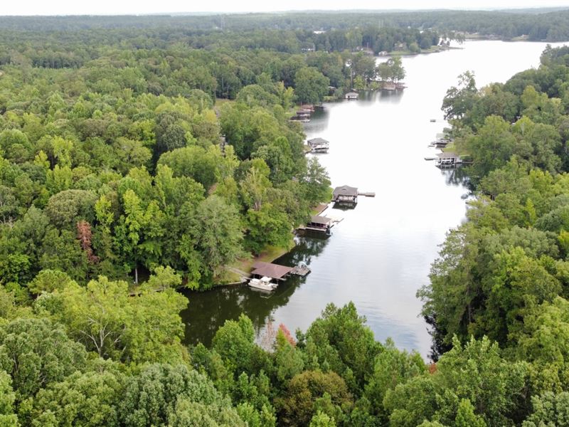 58 Acres on Lake Harding : Salem : Lee County : Alabama