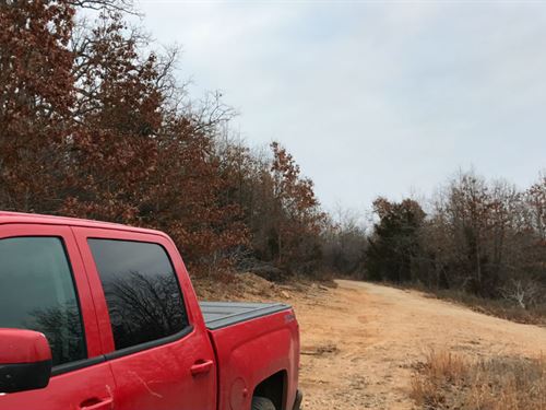 Owner Financed Ozark Land : Ava : Douglas County : Missouri