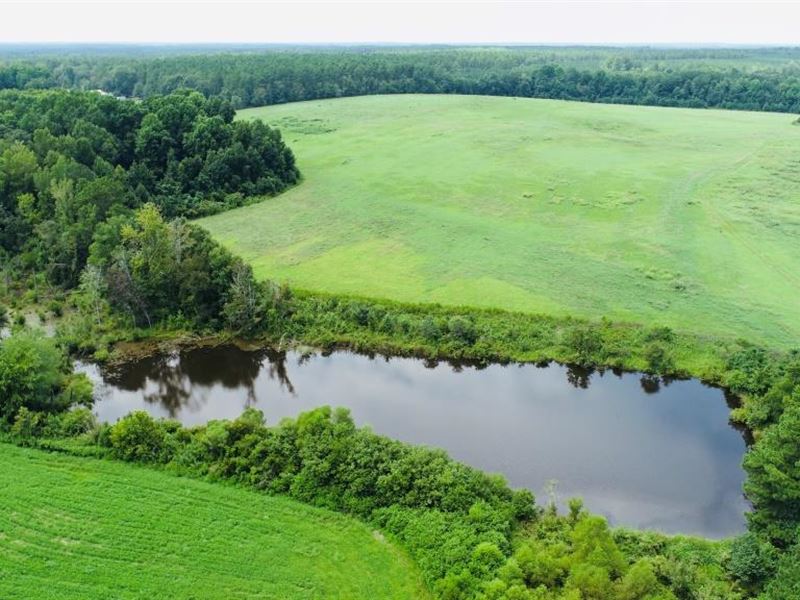 Little Brier Creek Farm, Farm for Sale in 330926 FARMFLIP