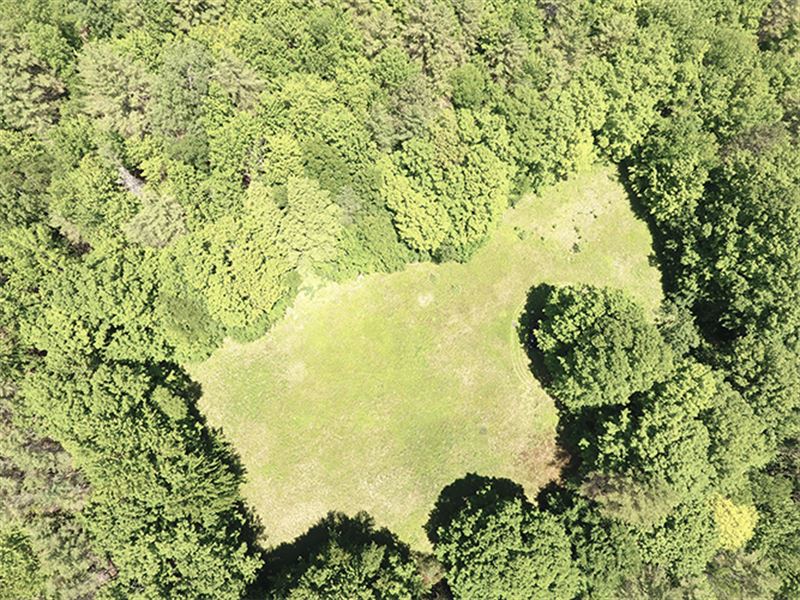 Old Farmstead Forest, Lot Two : Springfield : Windsor County : Vermont