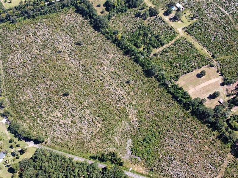 Rural Homesite Opportunity : Eastover : Richland County : South Carolina