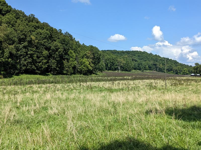 Jackson County, Ohio Land for Sale, Farm for Sale in Ohio, 331028