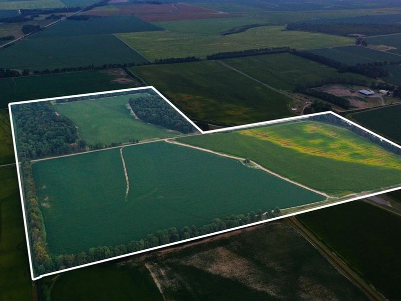 120 Acre Farm Near Hunter, AR, Farm for Sale in Arkansas, 331065