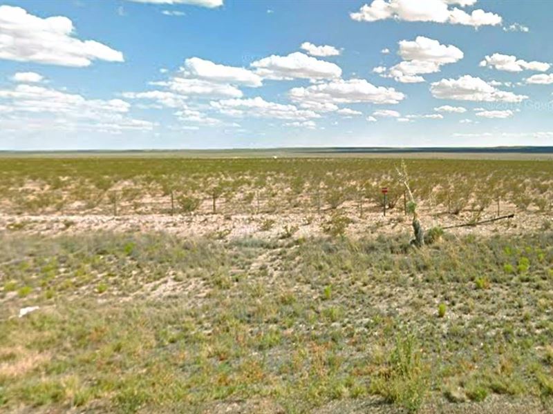 20 Acres in Hudspeth County, TX Farm for Sale by Owner in Cornudas