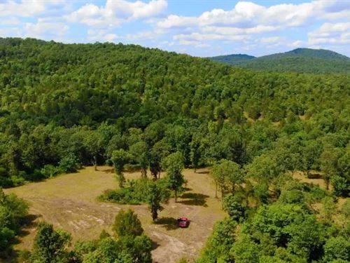 Owner Financed Land In MO : Gainesville : Ozark County : Missouri