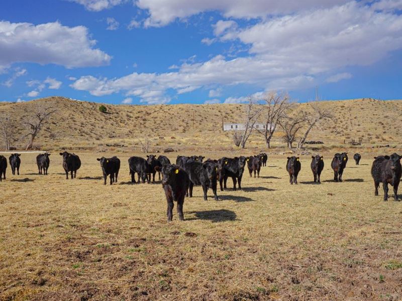 21087 I-25, Walsenburg, Co 81089 : Walsenburg : Huerfano County : Colorado