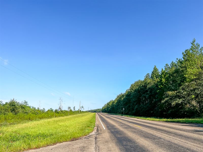 20 Acres, T-2 FM 787 : Votow : Hardin County : Texas