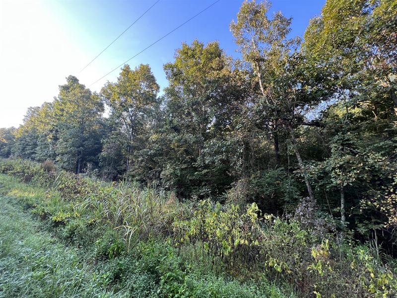 Mullinax Road Tract 2 Farm for Sale in Taylorsville, Bartow County