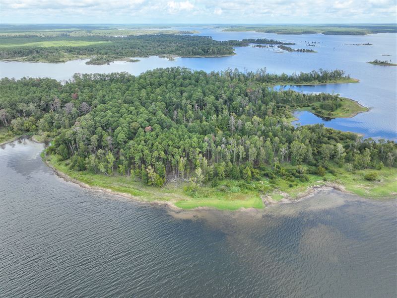 32 Acres, T-9 Lost Wood Point : Broaddus : San Augustine County : Texas