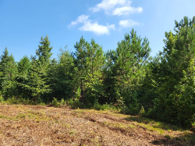 Little Deepstep Creek, Farm for Sale by Owner in 331861