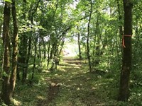 Owner Financed Land In MO : Fordland : Webster County : Missouri