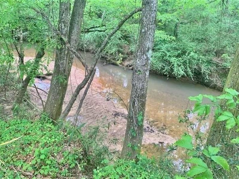 Riverfront Pine Timberland for Sale : McComb : Pike County : Mississippi