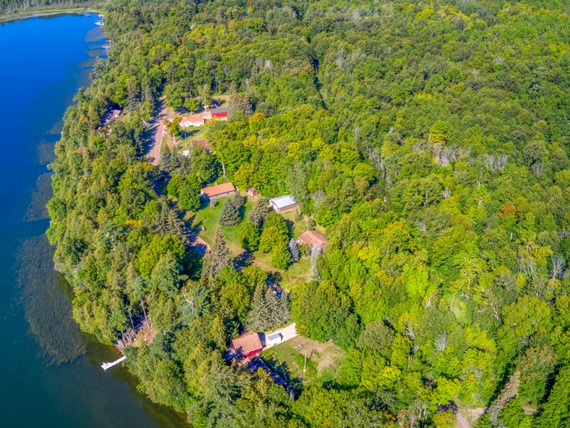 MN Lake House and Land for Auction Farm Auction in Northome
