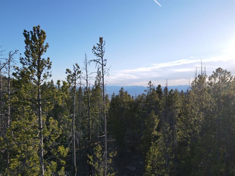 Wooded Off Grid Land, Farm for Sale by Owner in Montana, 332118 FARMFLIP