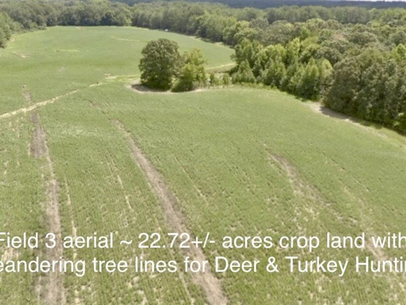 Prime Hunting, Crop & Timberland : Lamar : Marshall County : Mississippi