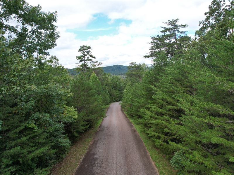 101 Acres, Stephens County, GA : Toccoa : Stephens County : Georgia