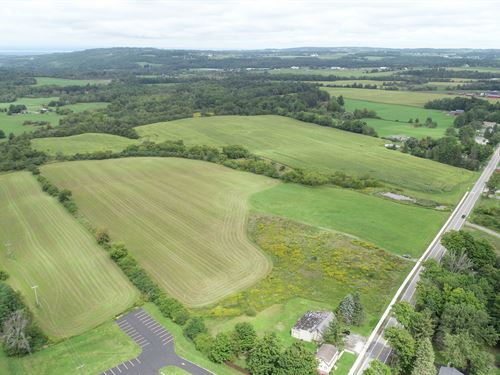 Trophy Hunting Land, Pond, Stream : Cazenovia : Madison County : New York