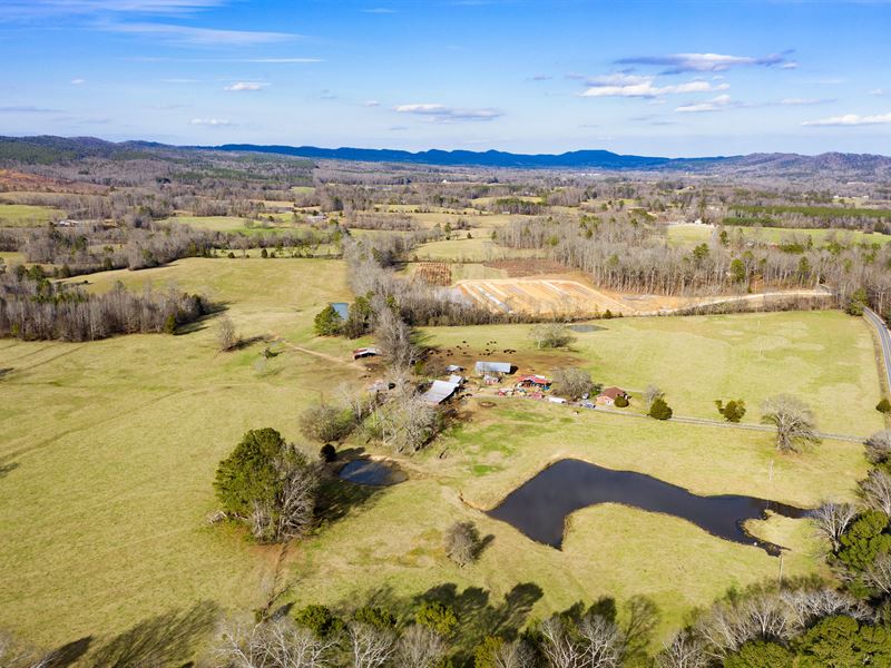 Beautiful Farm with 2 Ponds : Summerville : Walker County : Georgia