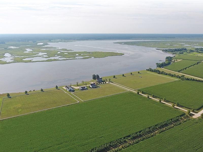 Steam Mill Farm, Eastern Maryland, Farm Auction in Maryland, 332197