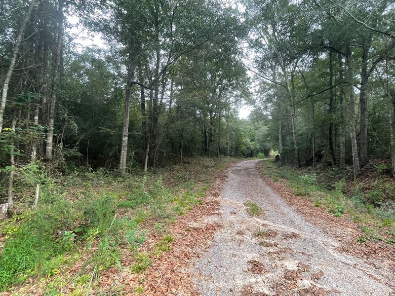McNair Lane : Seminary : Covington County : Mississippi