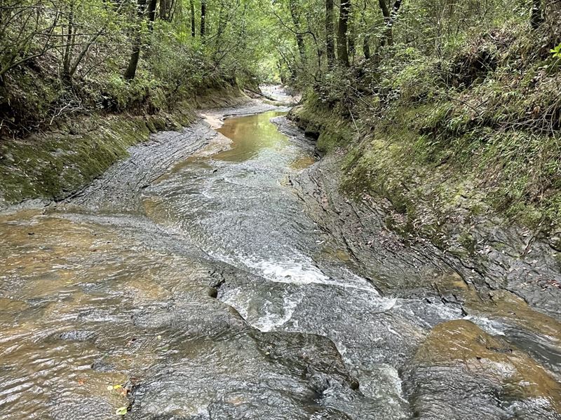 306 Acres Pea River, Farm for Sale in Alabama, 332280 FARMFLIP