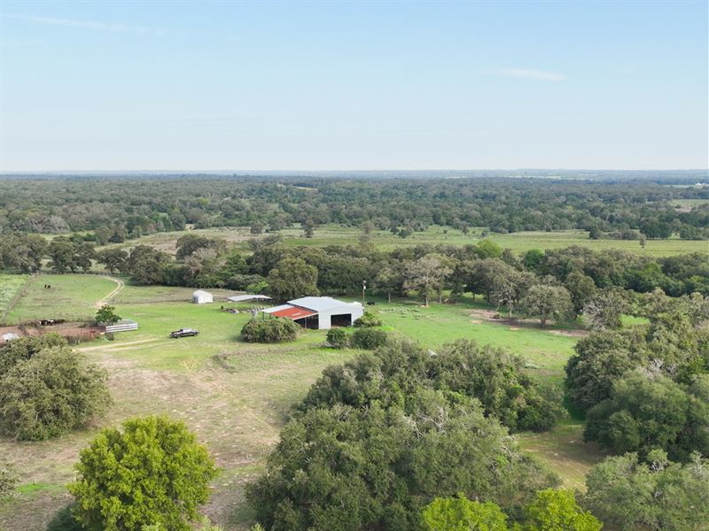 883 Acres, County Road 316 : Caldwell : Burleson County : Texas