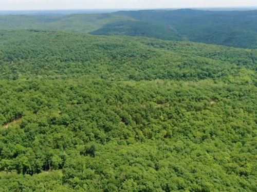 Owner Financed Land in MO : Ava : Douglas County : Missouri